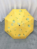 Umbrellas