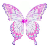 Butterfly Wings