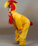 Rooster Costume