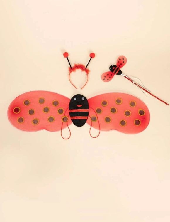 3pcs ladybug wings set